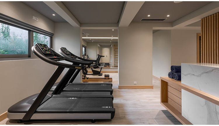 Ikones Seafront Luxury Suites, Крит